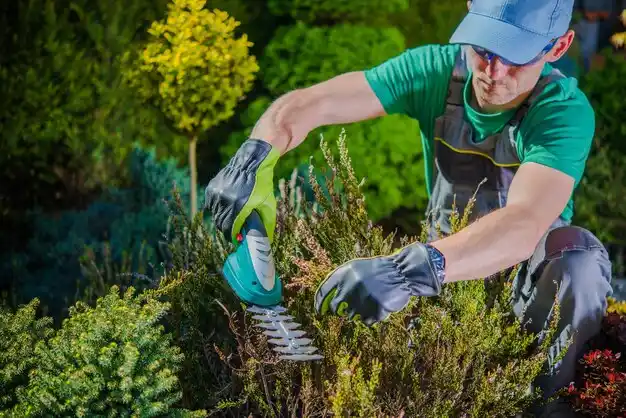 landscaping services South Lyon